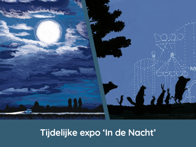 In de Nacht.png