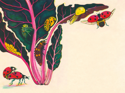 Merlijne Marell 1_0.png